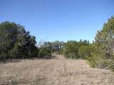 Lot 3 Ph 6 County Road 421 - Photo 19