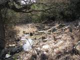 Lot 3 Ph 6 County Road 421 - Photo 2
