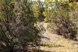 Lot 101 Brazos Valley Road - Photo 3