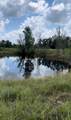 TBD Co Rd 295 - Photo 10