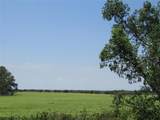 TBD Co Rd 295 - Photo 5