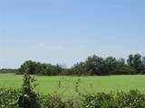 TBD Co Rd 295 - Photo 7