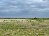 196 Tbd County Road 196 - Photo 1
