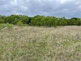 196 Tbd County Road 196 - Photo 3