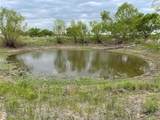 196 Tbd County Road 196 - Photo 6