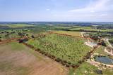 TBD County Road 196 - Photo 22