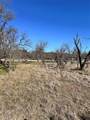 349 Oak Point Drive - Photo 6