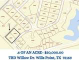 TBD Willow Drive - Photo 1