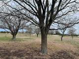 2020 County Road 377 - Photo 7