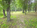 Lot 333 Spur 294 - Photo 11