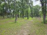 Lot 333 Spur 294 - Photo 12