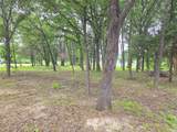 Lot 333 Spur 294 - Photo 13