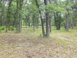 Lot 333 Spur 294 - Photo 15