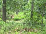 Lot 618 Spur 294 - Photo 20