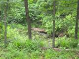 Lot 618 Spur 294 - Photo 3
