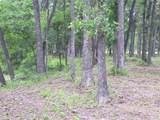Lot 618 Spur 294 - Photo 7
