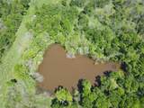 TBD 149.71 Acres Se Cr 1240 - Photo 11