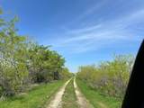 TBD 149.71 Acres Se Cr 1240 - Photo 18