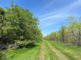 TBD 149.71 Acres Se Cr 1240 - Photo 20