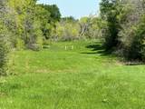 TBD 149.71 Acres Se Cr 1240 - Photo 26