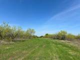 TBD 149.71 Acres Se Cr 1240 - Photo 36