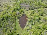 TBD 149.71 Acres Se Cr 1240 - Photo 8