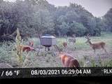 91 State Highway 16 - Photo 28