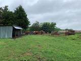 619 Watson Street - Photo 11