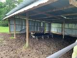 619 Watson Street - Photo 13