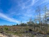 1 County Road 443 - Photo 4