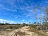 1 County Road 443 - Photo 9