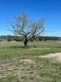 719 Caines Way - Photo 10