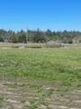 719 Caines Way - Photo 11