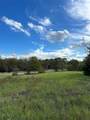 230 Blackjack Parkway - Photo 3