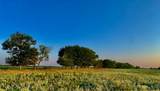 TBD County Road 1610 - Photo 12