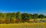 TBD County Road 1610 - Photo 3