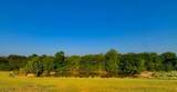 TBD County Road 1610 - Photo 4