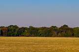 TBD County Road 1610 - Photo 9