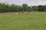 TBD Rs County Road 2365 - Photo 10