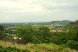 1239 Hidden Rock Road - Photo 2