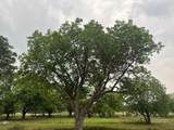 2008 Cr 1102 - Photo 29