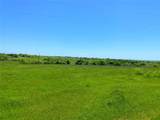 2683 Highway 81 - Photo 13