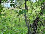 Lot 5 Cashs Mill Road - Photo 10