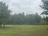 TBD County Road 446 - Photo 2