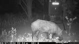 TBD Cr 129 - Photo 9