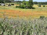 TBD Lot 991, 992 Long View Drive - Photo 6