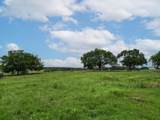 1405 Prairie Grove Road - Photo 1