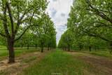 141 Pecan Bayou Lane - Photo 1