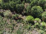 0 County Road 182 - Photo 5