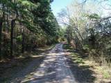 0 County Road 182 - Photo 7